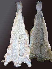 Two triangular pieces of hung, preserved cod; the nearer piece is more brightly lit.