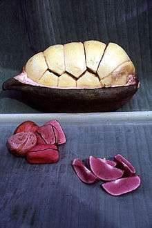 The segmented kola nut, in the shell and separated