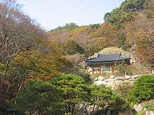 A distant view of a wooden shrine surrounded by a thick forest on the slopes of a mountain in autumn.