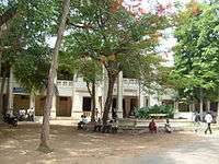 campus of a college with shaded trees