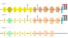 L1CAM different isoforms (1, 2 and 3)