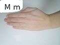 A flat hand (like an informal ASL 'M') pointed to the side rather than down. Palm faces speaker.