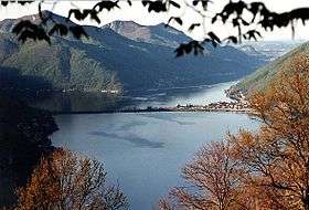 Monte San Giorgio, shown on the left in the background of Lake Lugano