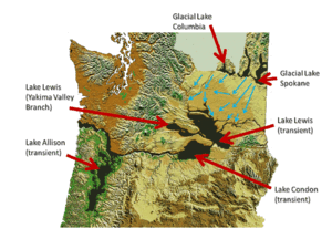  Figure showing topographic maps of Washington and northern Oregon with the lowlands flooded by the Missoula Floods marked.