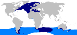 World map with dark blue coloring in the northern Atlantic Ocean, around southern South America, east of South Africa, and around southern Australia and New Zealand, and light blue coloring along the southeastern U.S. coast and in a global band around the Southern Hemisphere