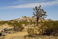 An image of a semi-desert landscape.