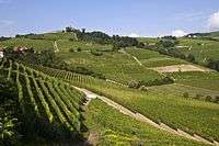 Hilly area with vineyards.