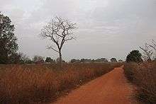 This shows a laterite road near Kounkane, Upper Casamance, Senegal. It resembles a red gravelled road.