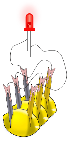 A drawing showing three lemons and a glowing red object (the LED). The LED has two lines coming out of its bottom to represent its electrical leads. Each lemon has two metal pieces stuck into it; the metals are colored differently. There are thin black lines, representing wires, connecting the metal pieces stuck into each lemon and the leads of the LED.