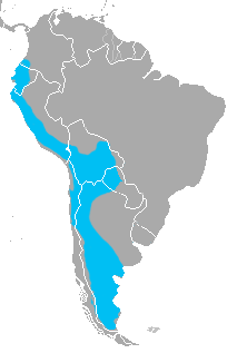 Crude map of the range of the pampas cat