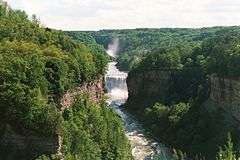 The gorge and Middle Falls at Letchworth State Park.