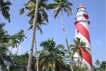Red-and-white-striped lighthouse, behind a stand of palm trees
