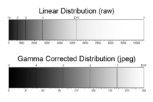 Comparison of linear and gamma-corrected tonal ranges, showing how each stop is recorded.