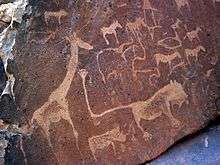 A dark brown sandstone slab littered with rock engravings in light brown. The engravings all show African animals, with a large giraffe on the left. At the centre is a fantasy creature of a lion with human toes and an impossibly long tail. At the tip of the tail there is a pugmark with six toes.