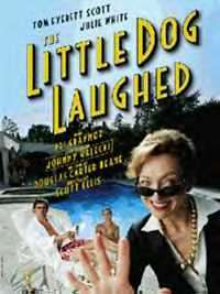 A poster with the play's title in yellow featuring a picture of two men lounging beside and in a pool while a woman with sunglasses approaches the viewer