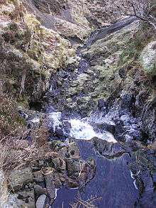 Looking down Dob's Linn Gorge from the top along a stream