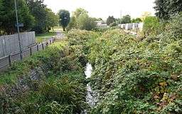 a stream in an overgrown channel with a tarmac path running alongside
