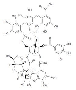 Chemical structure of mallojaponin.