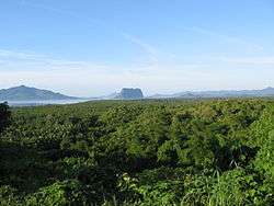 A blanket of green mangrove stretches out, with volcanic mountains in the distance.