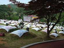 Mangwol-dong cemetery (2008)