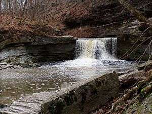 McCormicks Creek Falls, Indiana