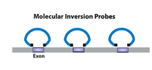 Molecular inversion probes