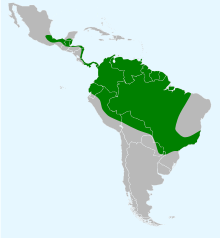 Map showing range M. oryzivorus