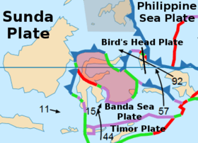 The Molucca Sea Plate