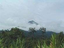 Mount Cameroon emerges through the clouds in the background, while the foreground depicts dense rainforest