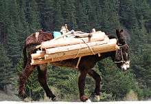A donkey carrying wood
