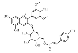 Chemical structure of malvidin 3O-coumaroyl glucoside