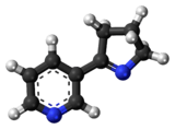 Ball-and-stick model of the myosmine molecule