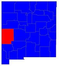 2006 New Mexico gubernatorial election results by county
