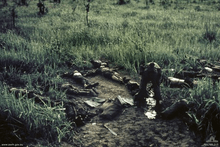 A soldier searches a number of dead bodies which lay strewn amidst the grass.