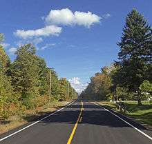 A two-lane highway in a forested area on a clear day in early autumn. After a slight curve in the foreground, it goes straight through the woods to a distant vanishing point