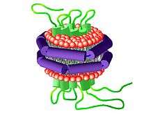 Schematic illustration of a nanodisc with a 7-transmembrane protein embedded.