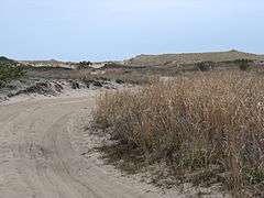 Dunes at Napeague State Park.