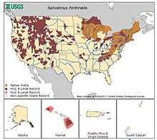 Map of native and non-native range of brook trout in U.S.