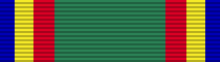 Green ribbon with vertical blue, yellow red stripes mirrored on the edges