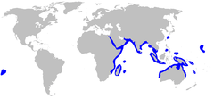 World map with blue coloring around the periphery of the Indian Ocean, northern Australia, and New Guinea, and in patches near the Philippines and Taiwan, and around several islands in the central Pacific