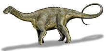 Drawing of Nigersaurus