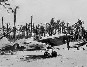 Two single-engined military aircraft parked in front of palm trees