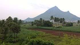 Picture of Arunachala Hill taken from outside town