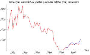 Line chart that shows catches peak at >4,000 in the 1950s, decline to 0 in the late eighties and increase to >1,000 by 2006