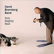 David Bromberg, wearing a jacket and tie, slacks, and swim fins, holds a pair of binoculars and interacts with a pet dog