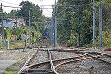 Looking down railway tracks in a forestry area, with a blue tram far down the line
