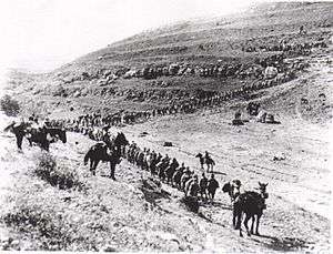 Column of soldiers marching up a hillside with mounted guards