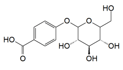 Chemical structure of p-hydoxybenzoic acid glucoside