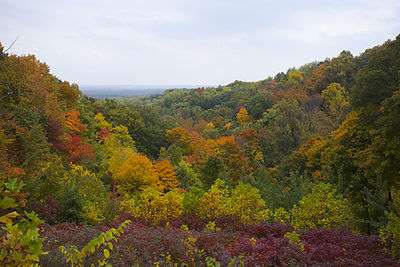  Hill view with orange, red, yellow, and green-leaved trees.
