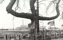 A tree in an odd shape, somewhat like a trident. In the background is the power plant